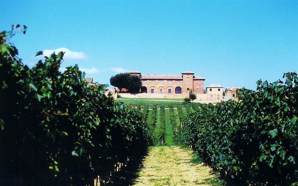 Agriturismo Terra Rossa Valiano エクステリア 写真