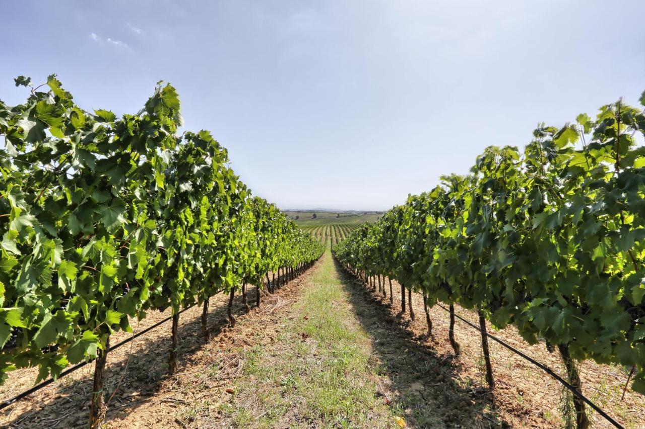 Agriturismo Terra Rossa Valiano エクステリア 写真